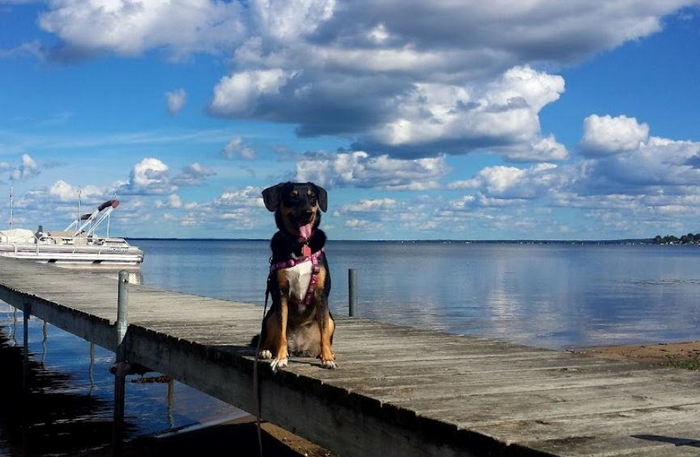 Sands Resort Motel - Web Listing (newer photo)